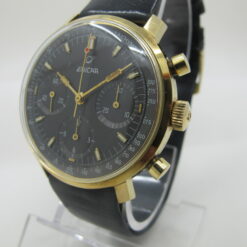 enicar garmix chrono