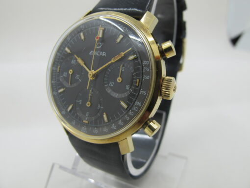 enicar garmix chrono